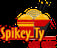 Spikey Ty